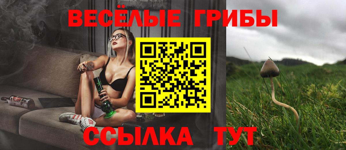 Псилоцибиновые грибы MAGIC MUSHROOMS Кириши