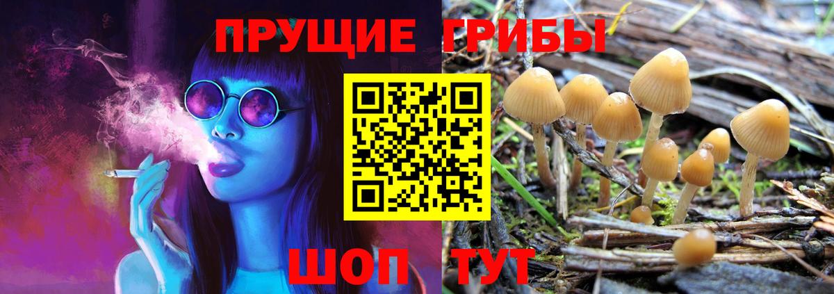 цены наркотик  Вход с VPN  Кириши  Псилоцибиновые грибы мухоморы  Псилоцибиновые грибы Psilocybe 